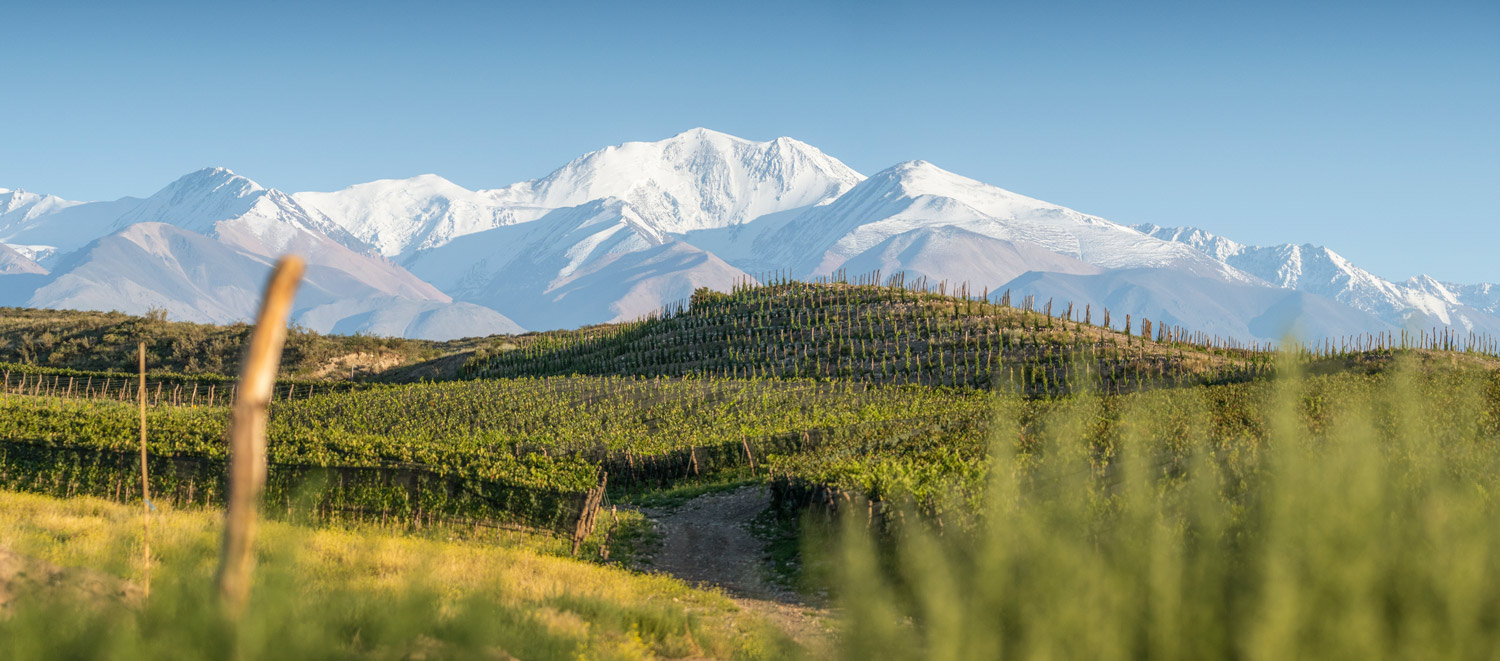 Valle de Uco