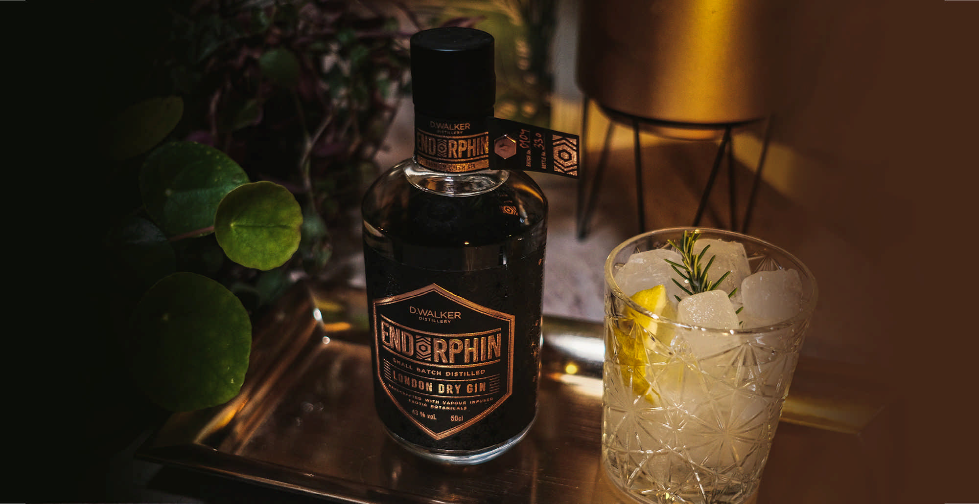 Gin Endorphin